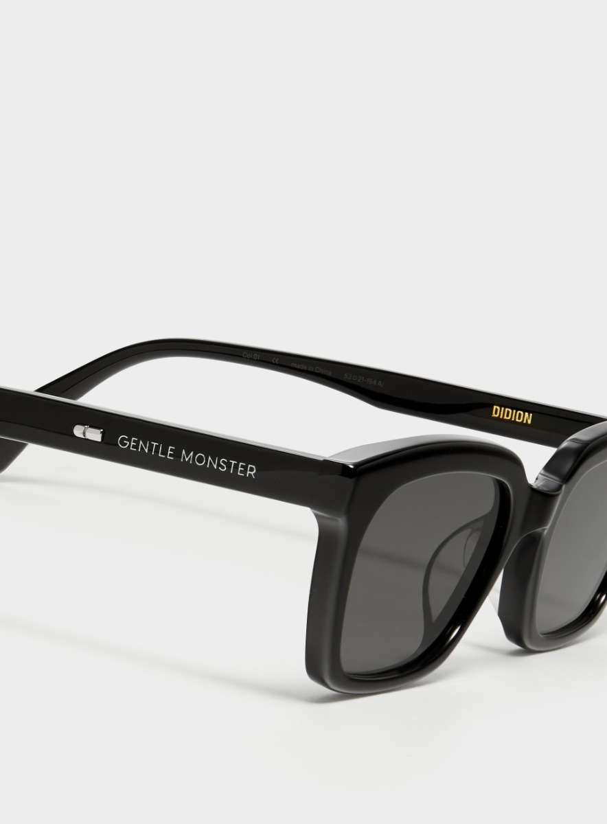 Didion 01